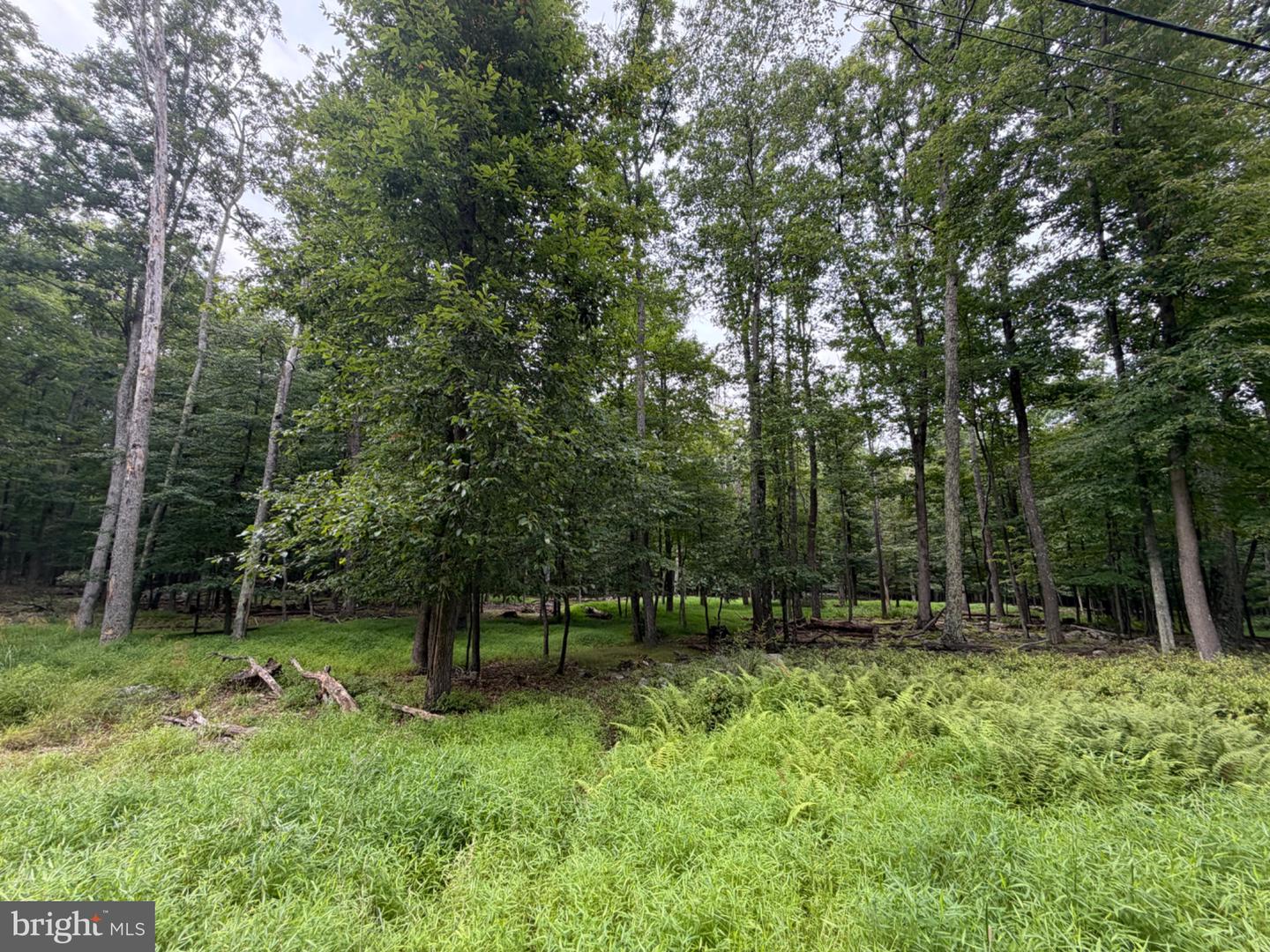 507-508 Haystack Dr Property Photo 1