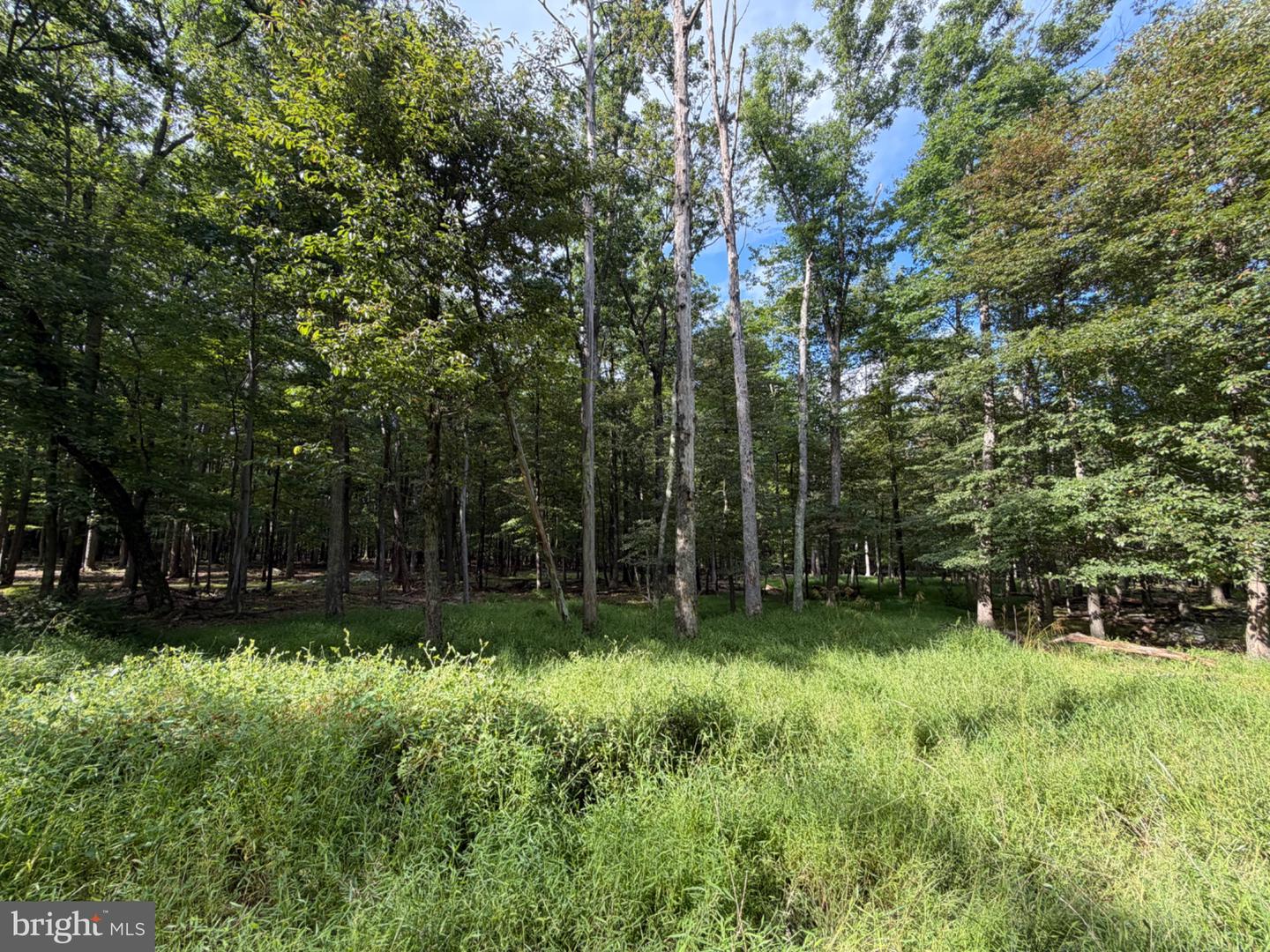 507-508 Haystack Dr Property Photo 1