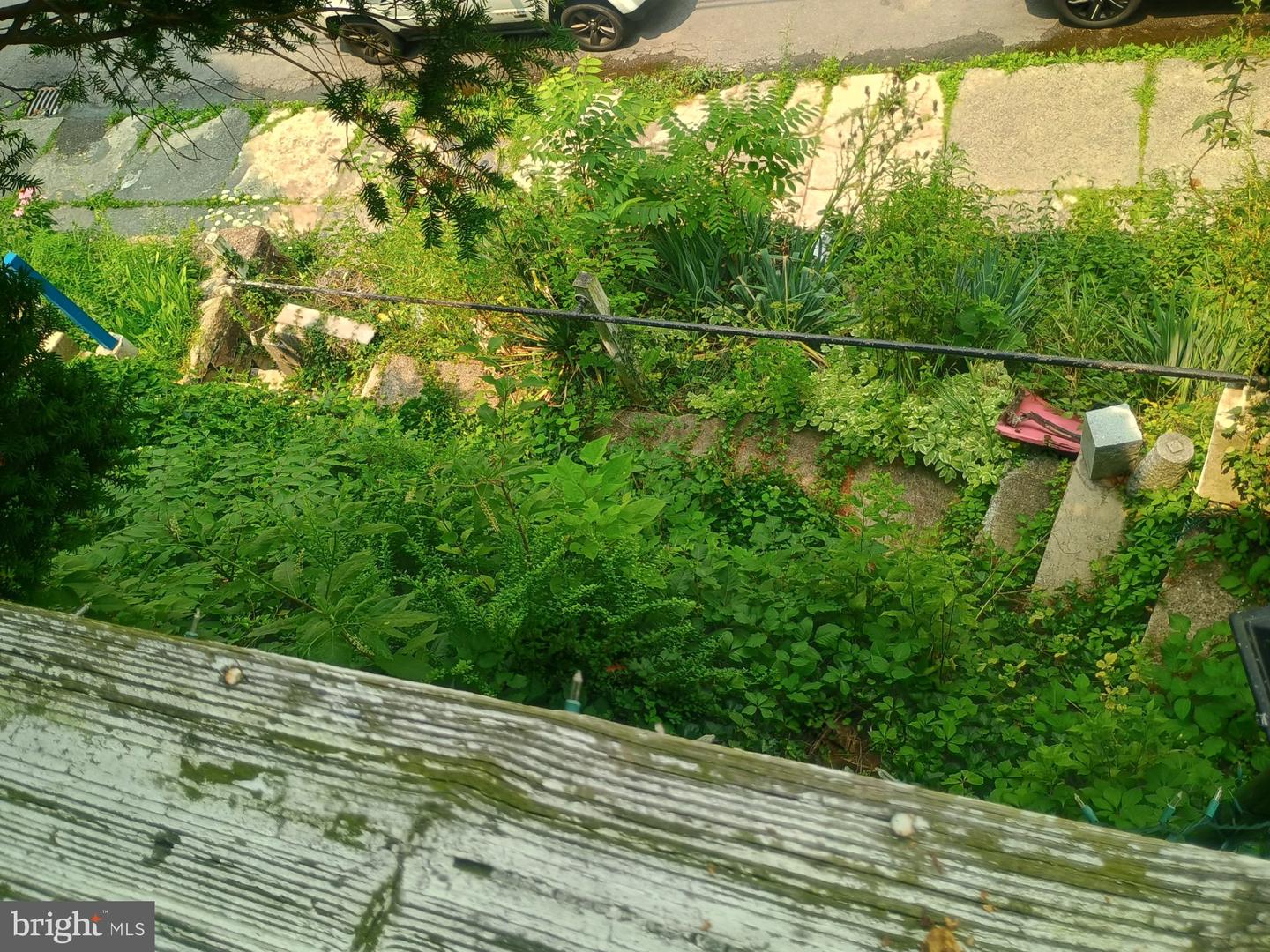 427 E Norwegian St Property Photo 15