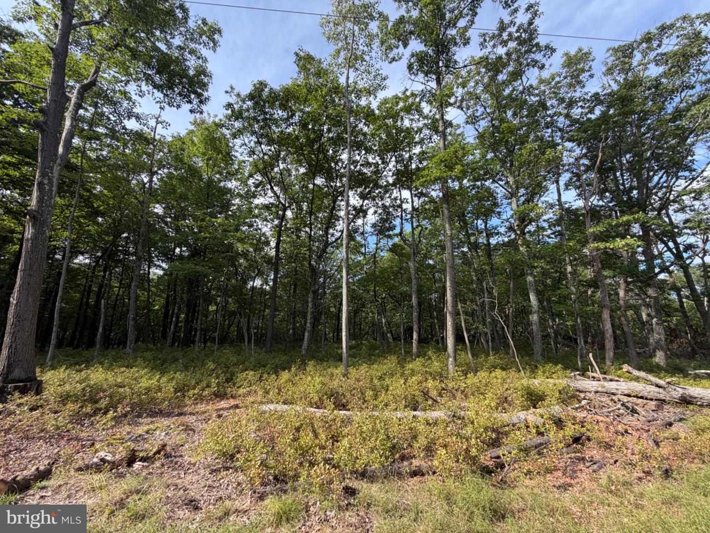 575 Chamonix Lane Property Photo 1
