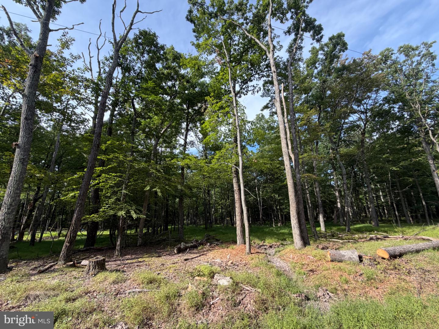 577 Chamonix Lane Property Photo 1