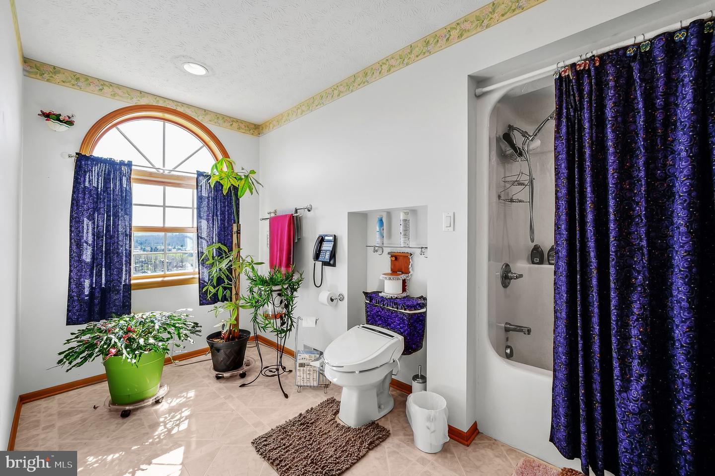 296 Cemetary Rd Property Photo 27