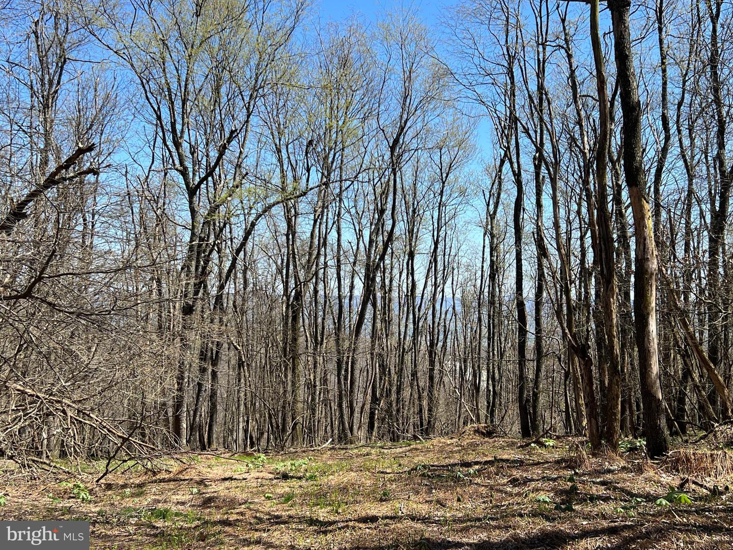 Lot 162 SHAWNEE VIEW ROAD