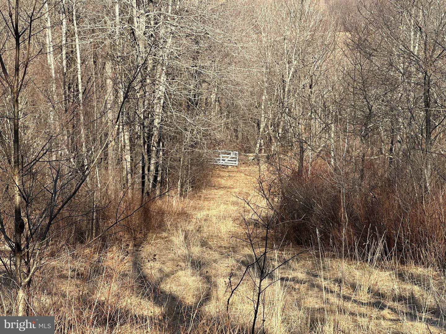 2970 Creek Rd. Property Photo 3