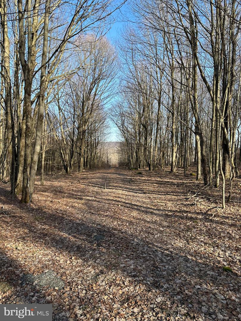 2970 Creek Rd. Property Photo 5