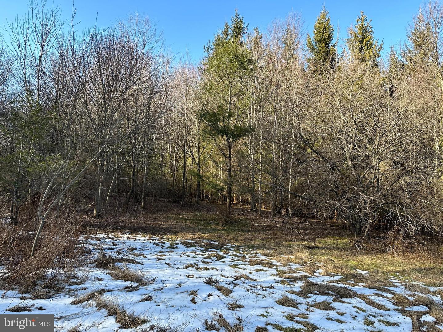 2970 Creek Rd. Property Photo 8