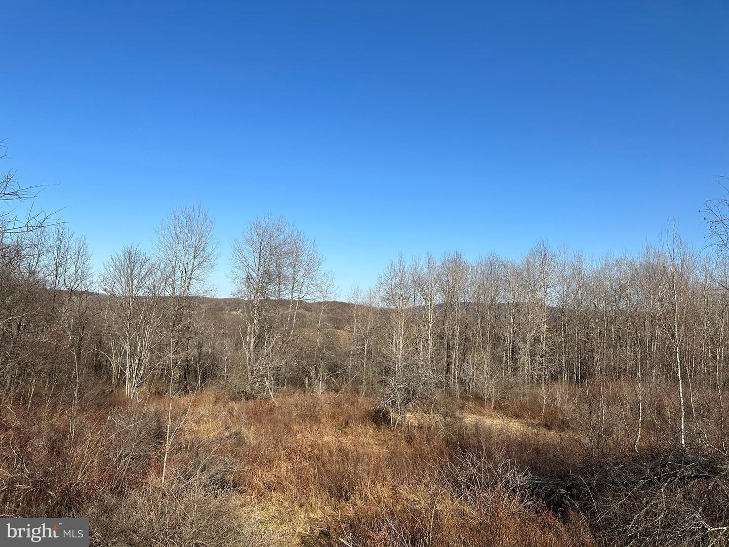 2970 Creek Rd. Property Photo 11