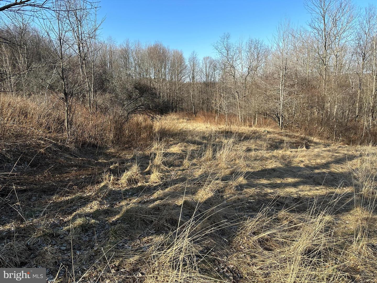 2970 Creek Rd. Property Photo 12