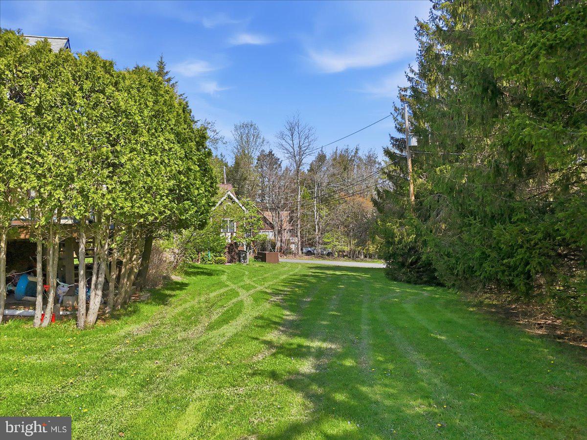 25 Fall Pl Property Photo 75
