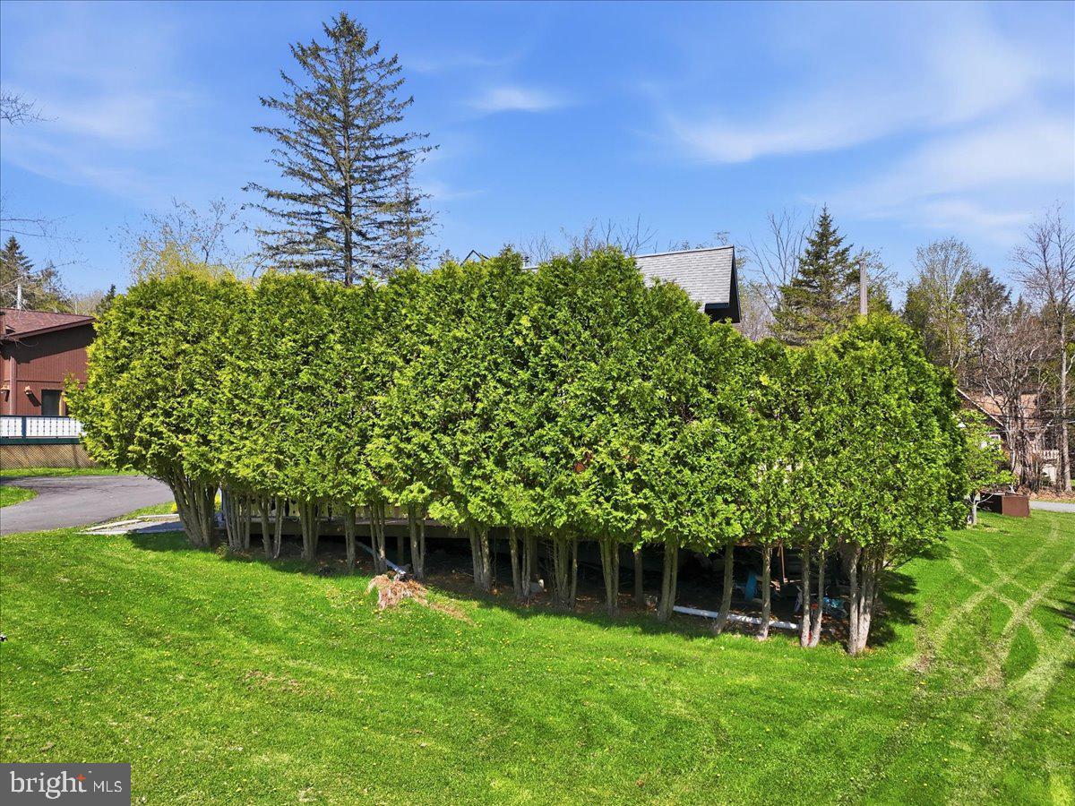 25 Fall Pl Property Photo 78