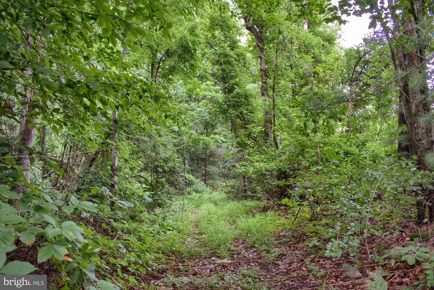 Parcel 01-03-021 Route 235 Property Photo 4