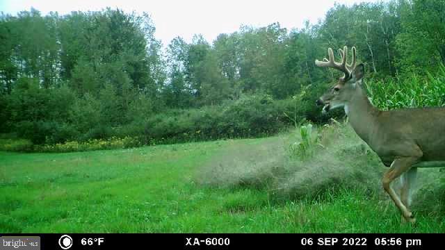 0 Porcupine Ln Property Photo 58