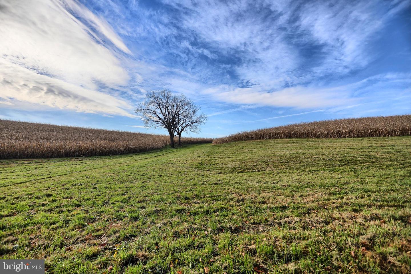 Union County Real Estate Listings Main Image