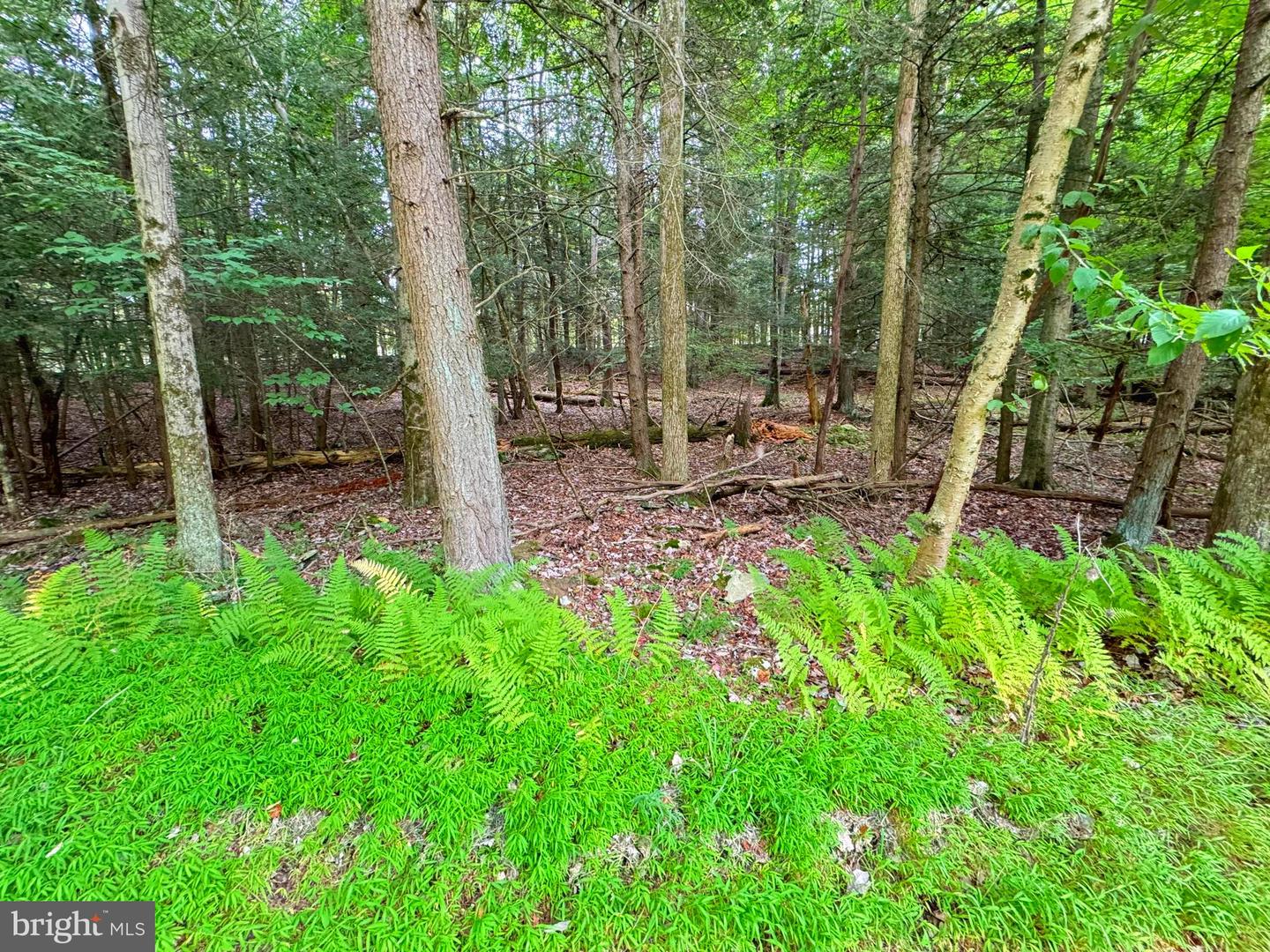 Lot 12-s-1 Orion Way Property Photo