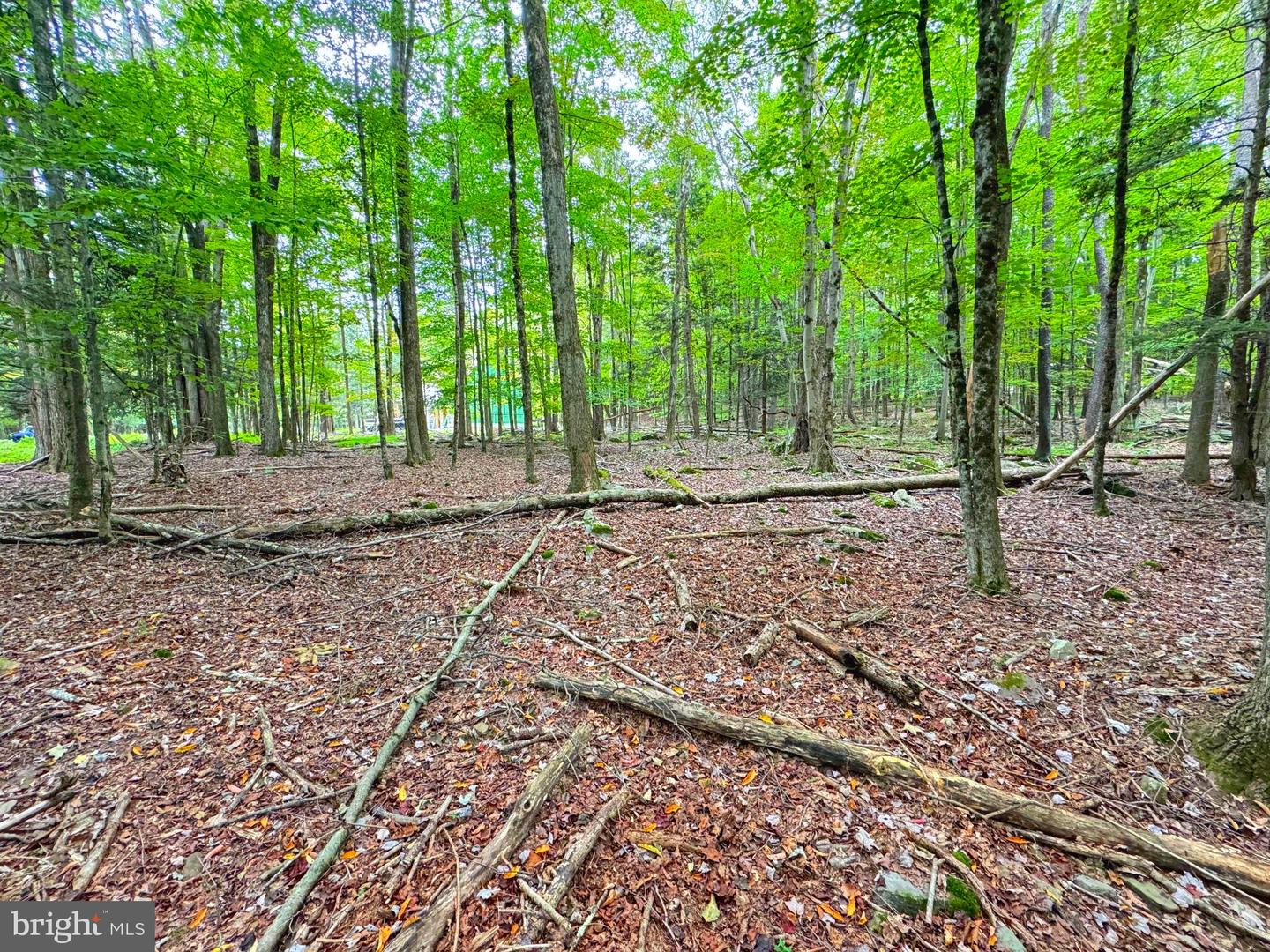 Lot 57-58 Orion Way Property Photo
