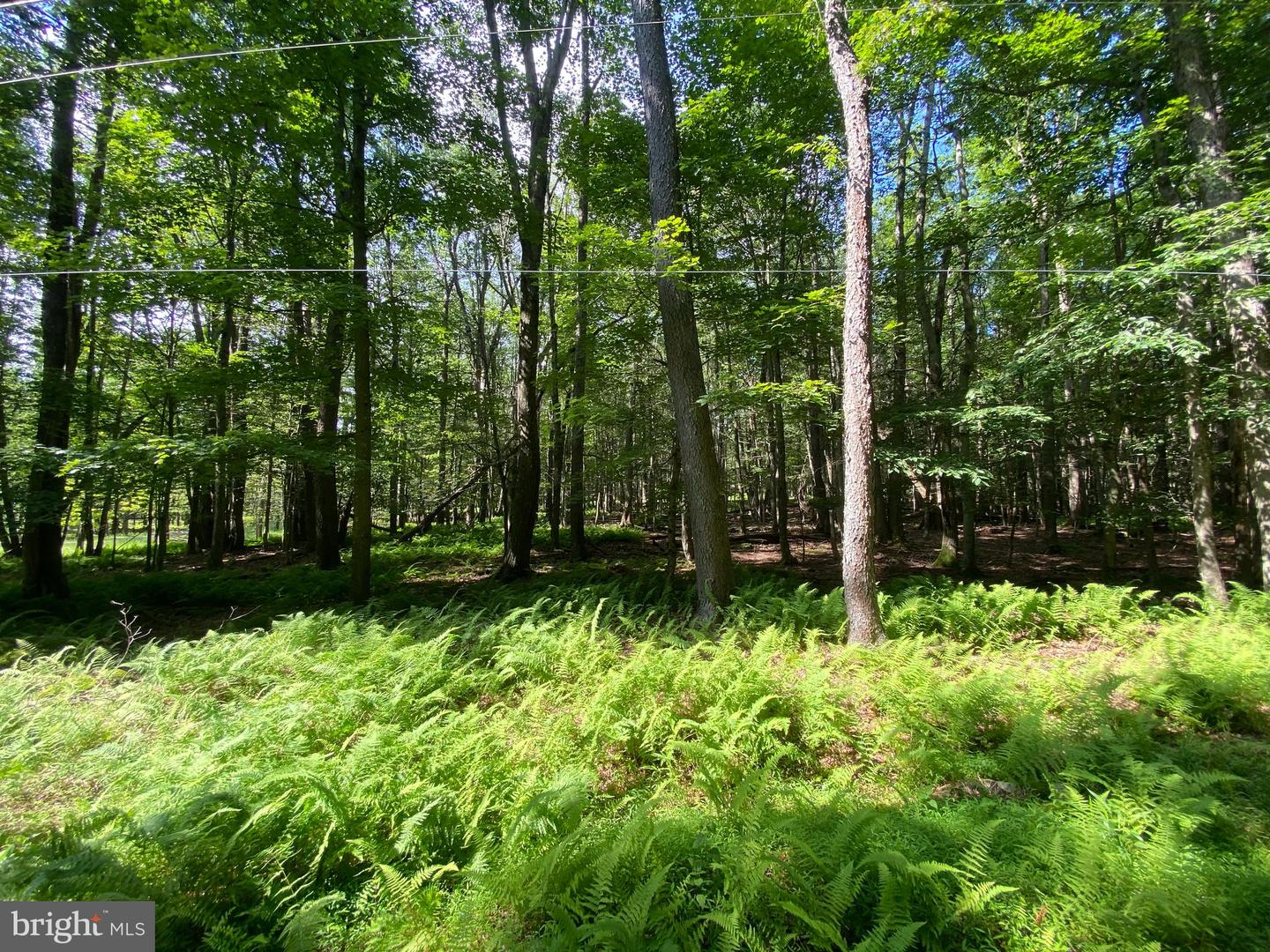 Lot 4 BASSWOOD DR