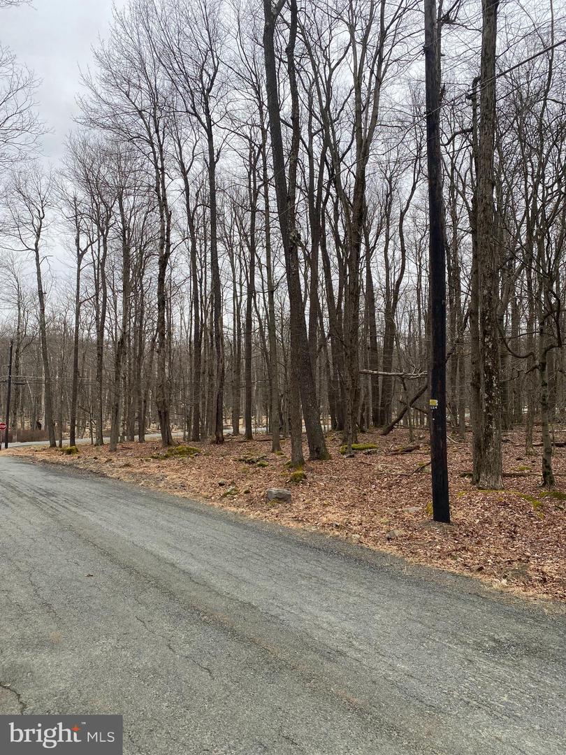 Lot 4 Basswood Dr Property Photo 5