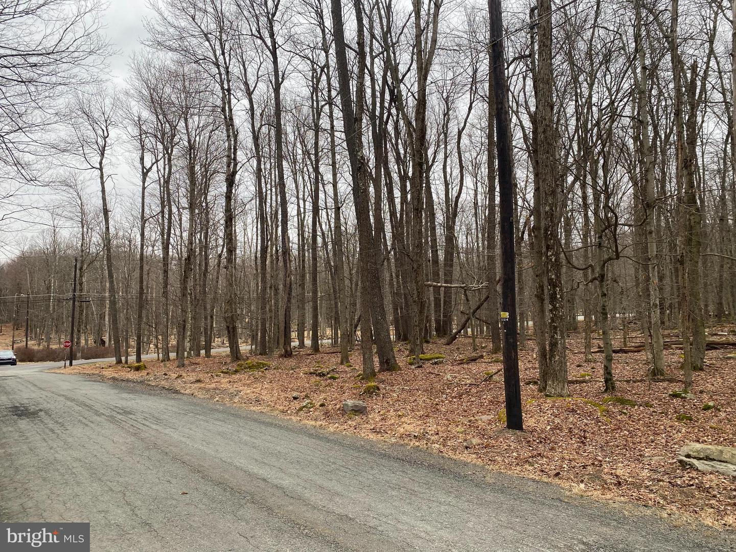 Lot 4 Basswood Dr Property Photo 6