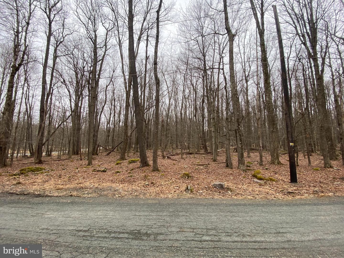 Lot 4 Basswood Dr Property Photo 7
