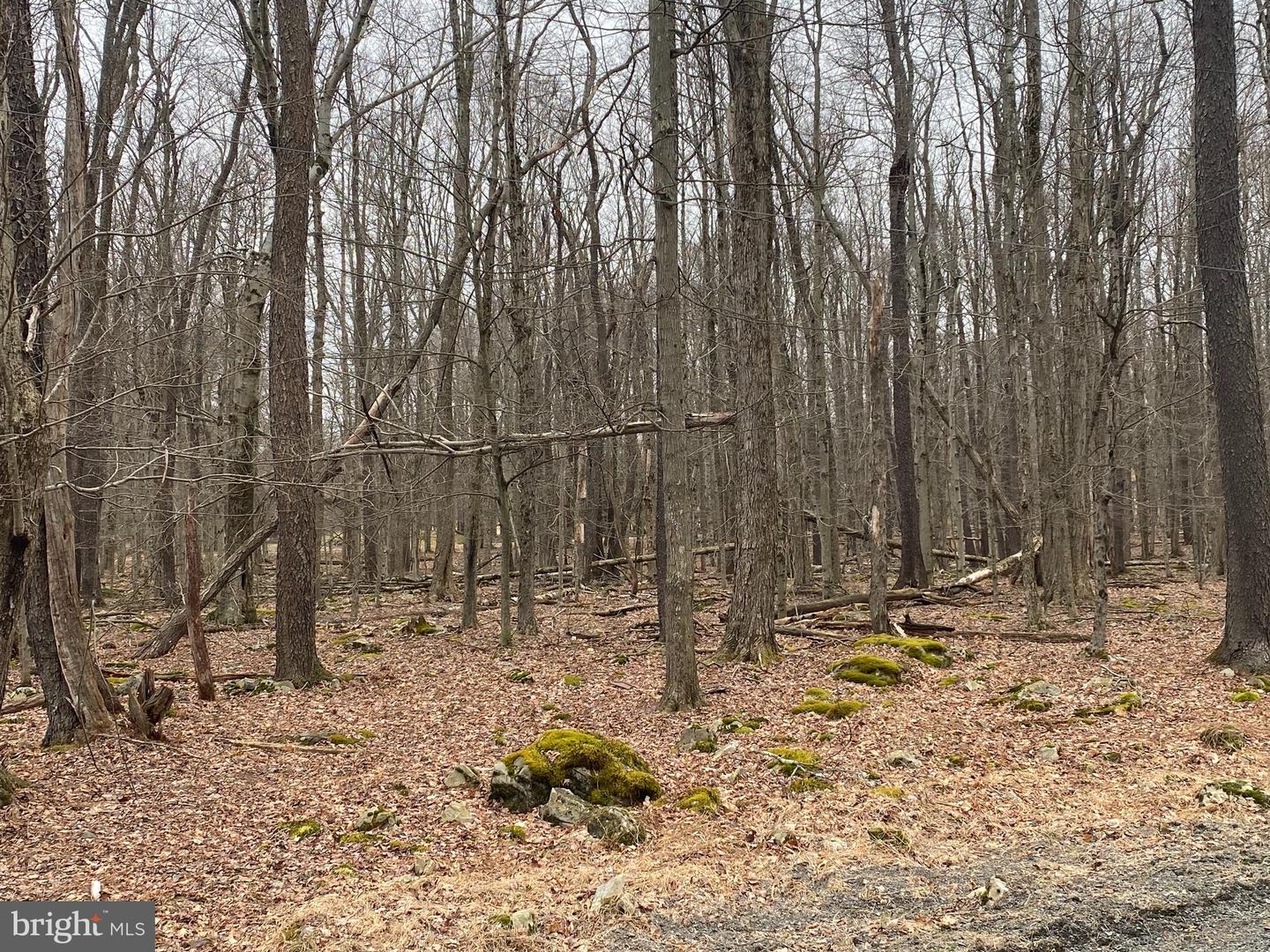 Lot 4 Basswood Dr Property Photo 9