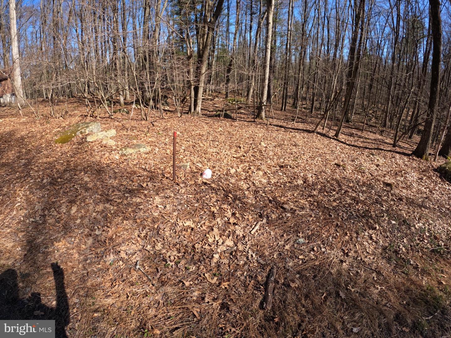 00 Oak Mountain Dr Property Photo 7