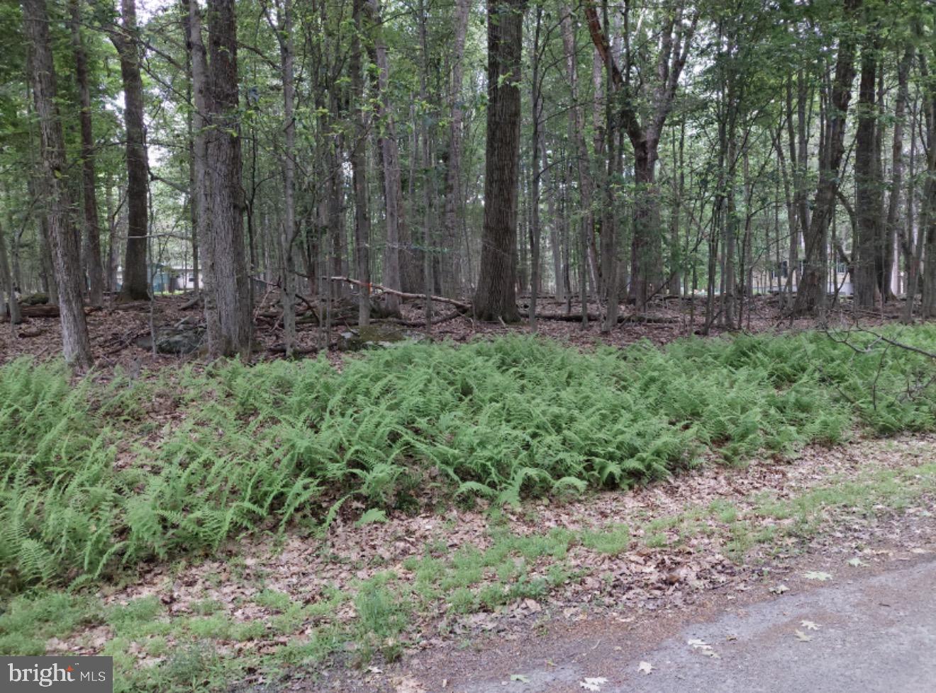 93 Tiffany Rd Property Photo 8