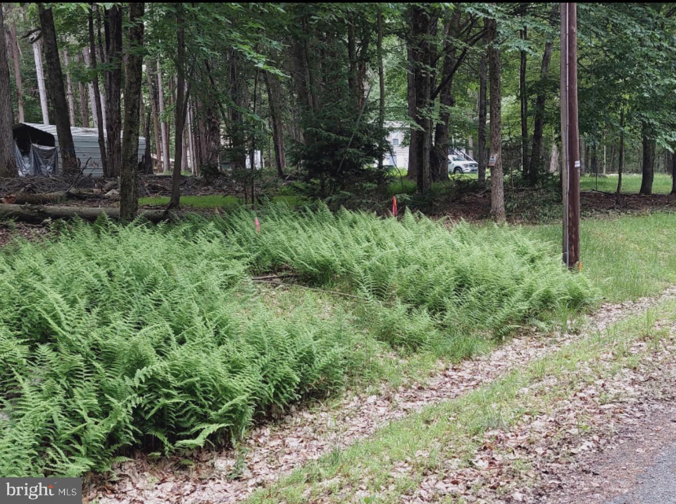 93 Tiffany Rd Property Photo 12