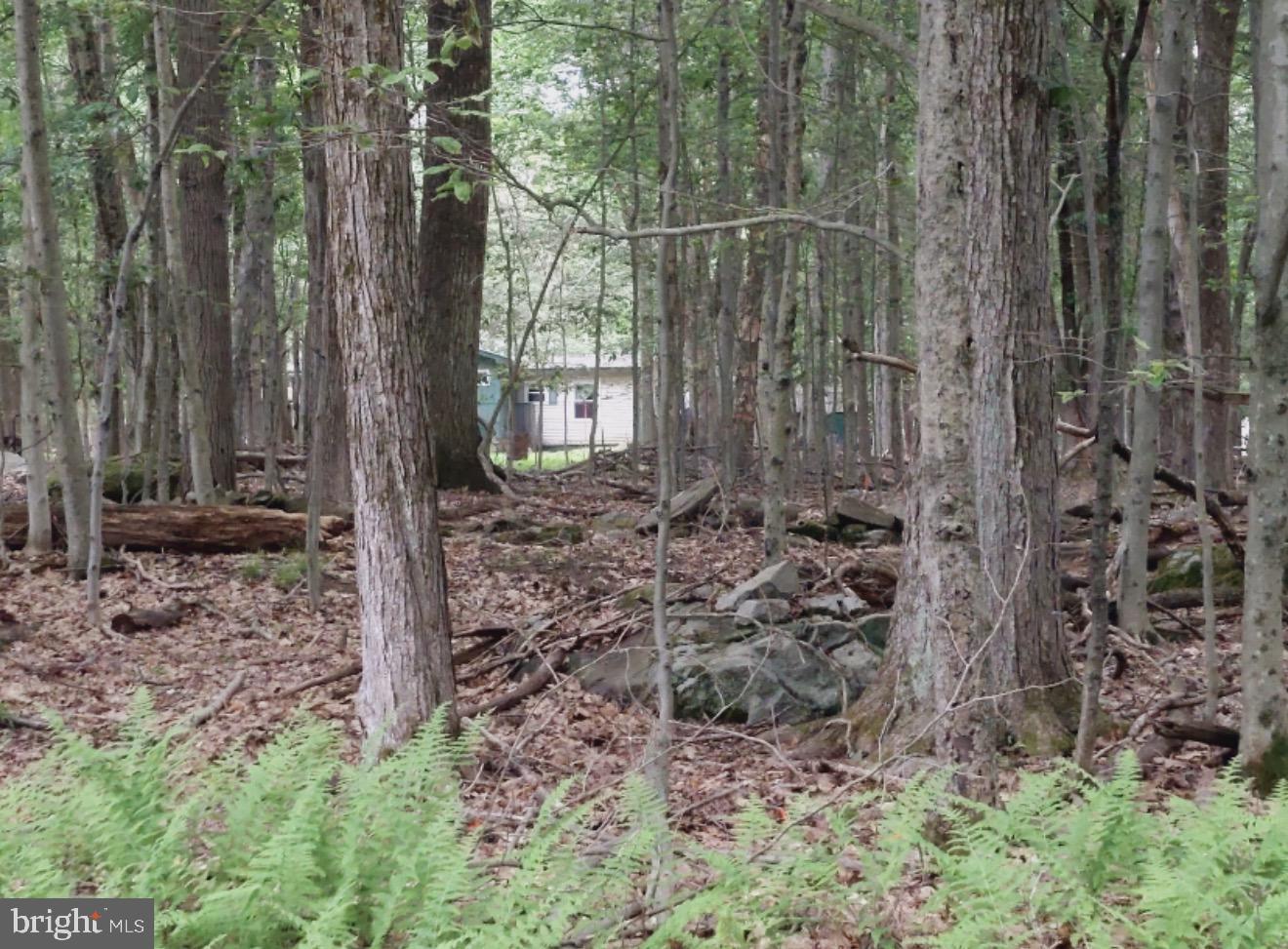 93 Tiffany Rd Property Photo 13