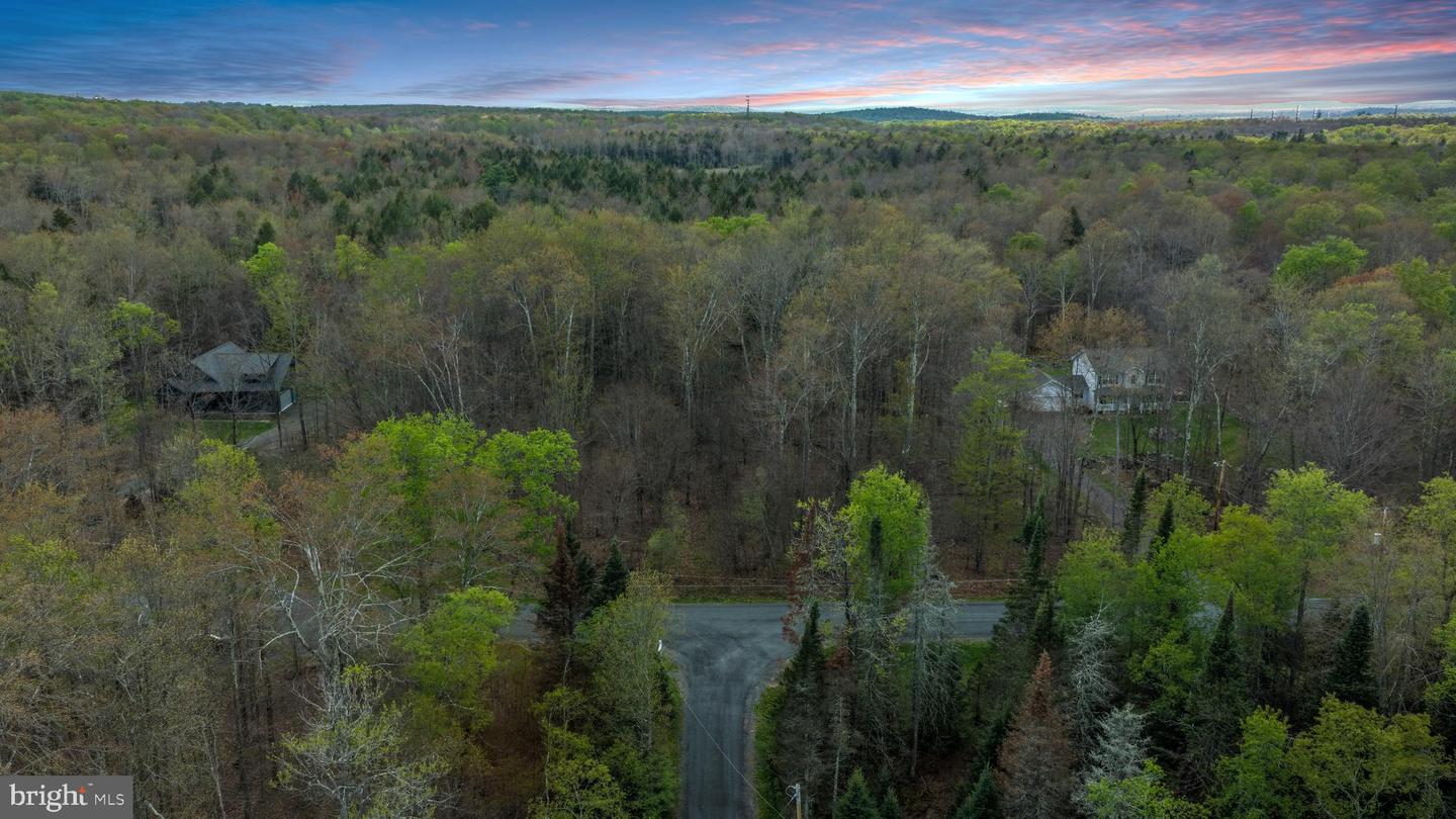 Lot 31 Lehigh River Ct Property Photo 1