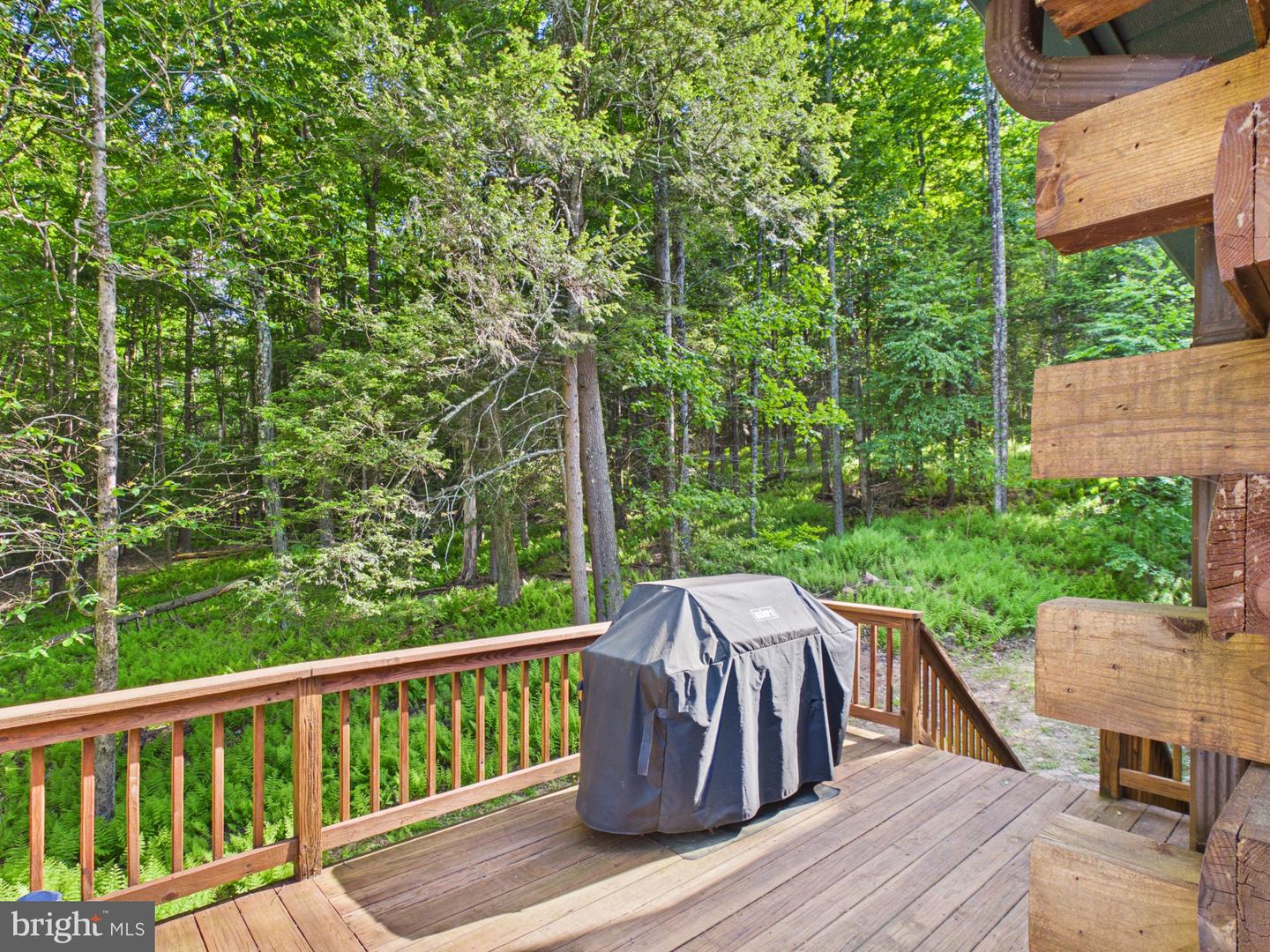 477 Finn Swamp Property Photo 14