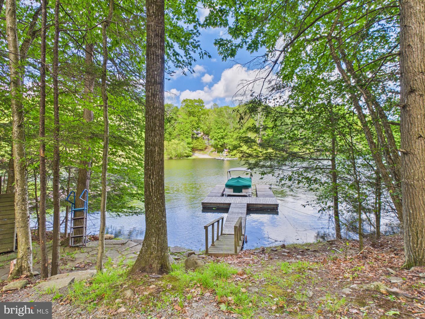 477 Finn Swamp Property Photo 15