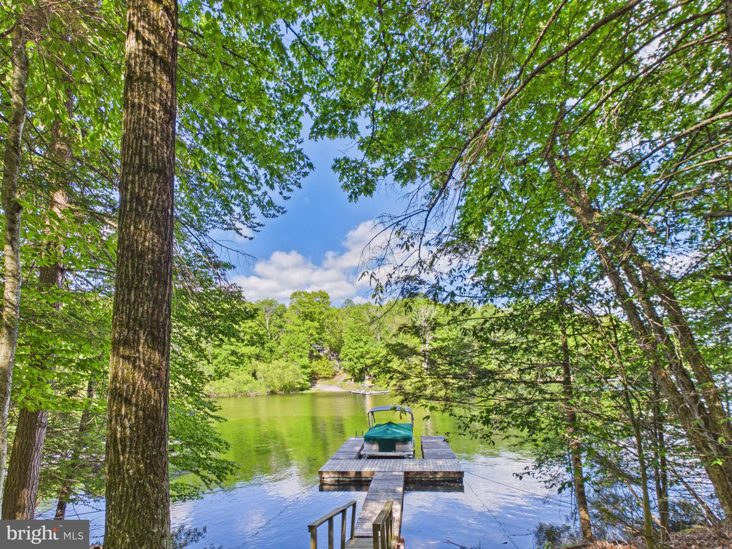 477 Finn Swamp Property Photo 16