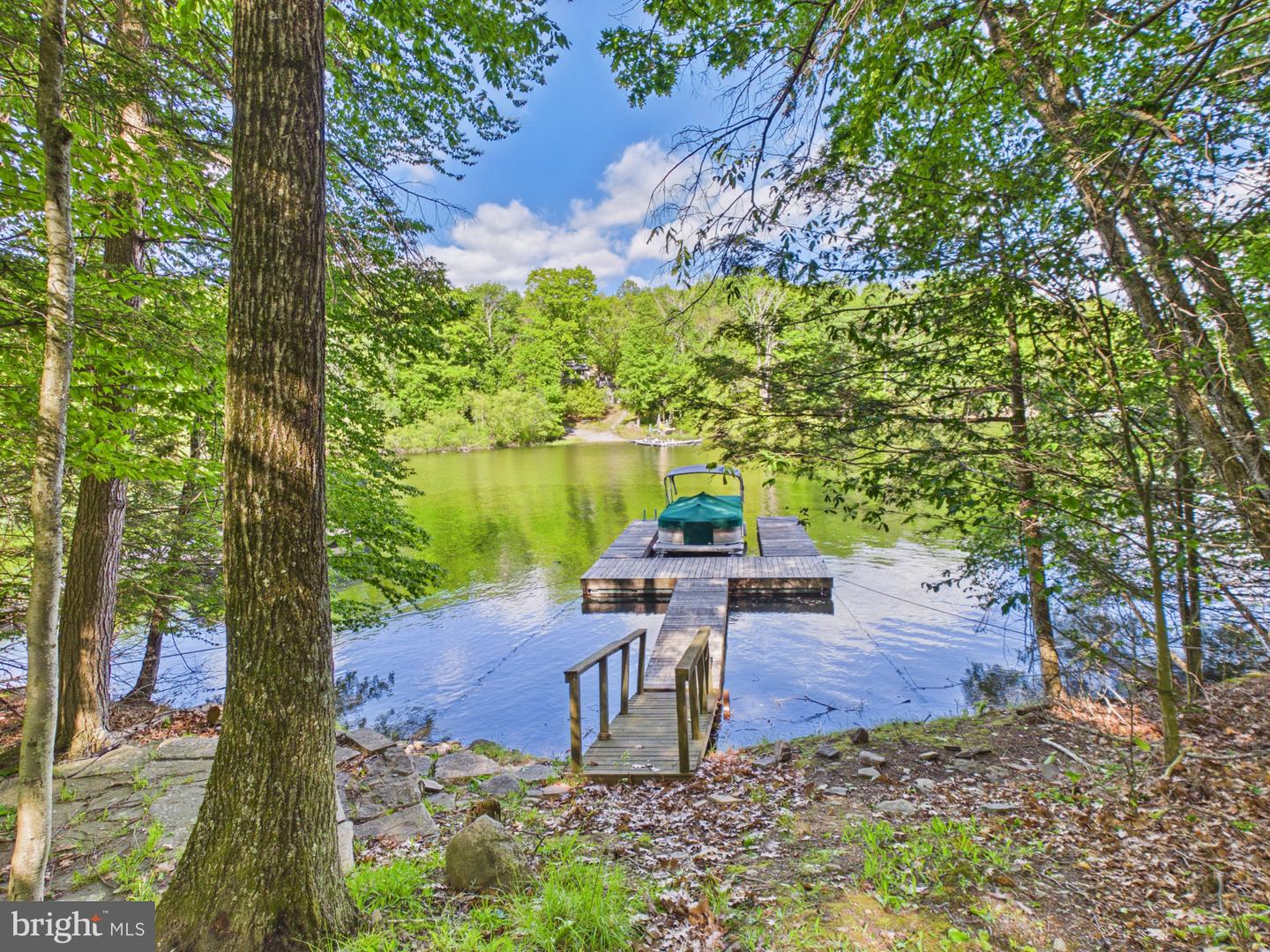 477 Finn Swamp Property Photo 17
