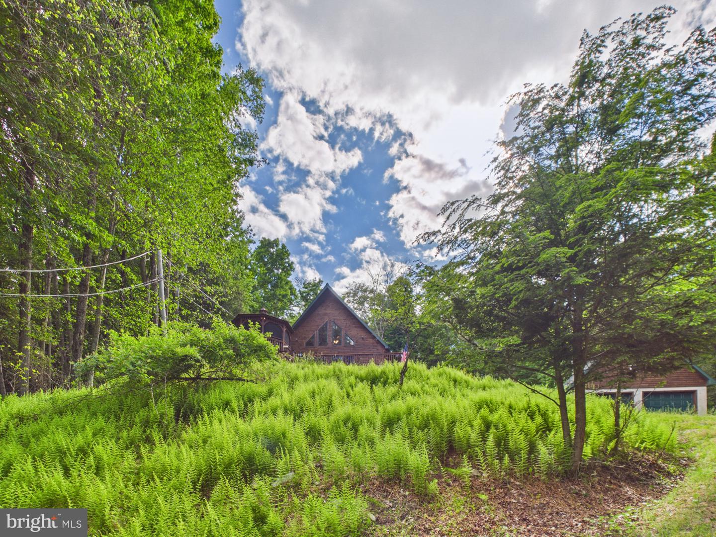 477 Finn Swamp Property Photo 26