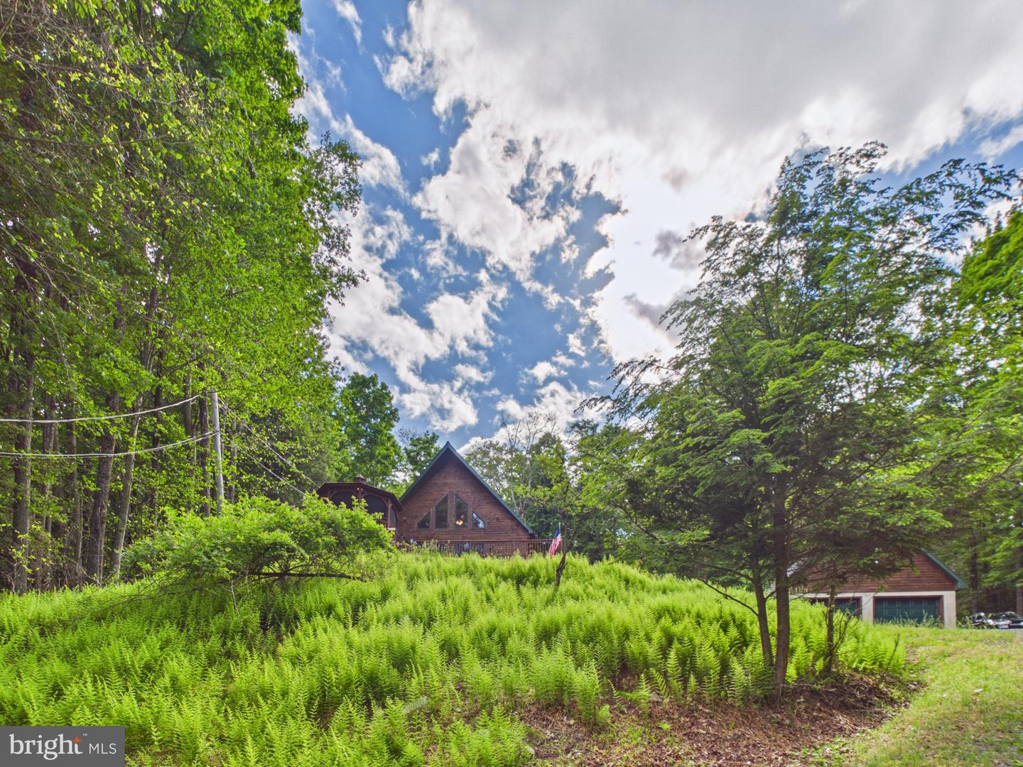 477 Finn Swamp Property Photo 27