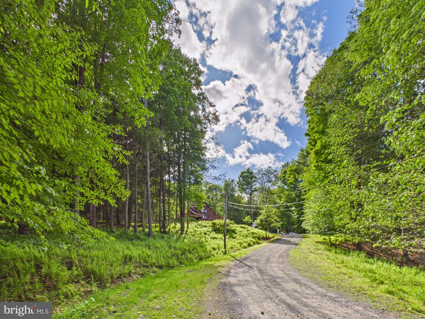 477 Finn Swamp Property Photo 28