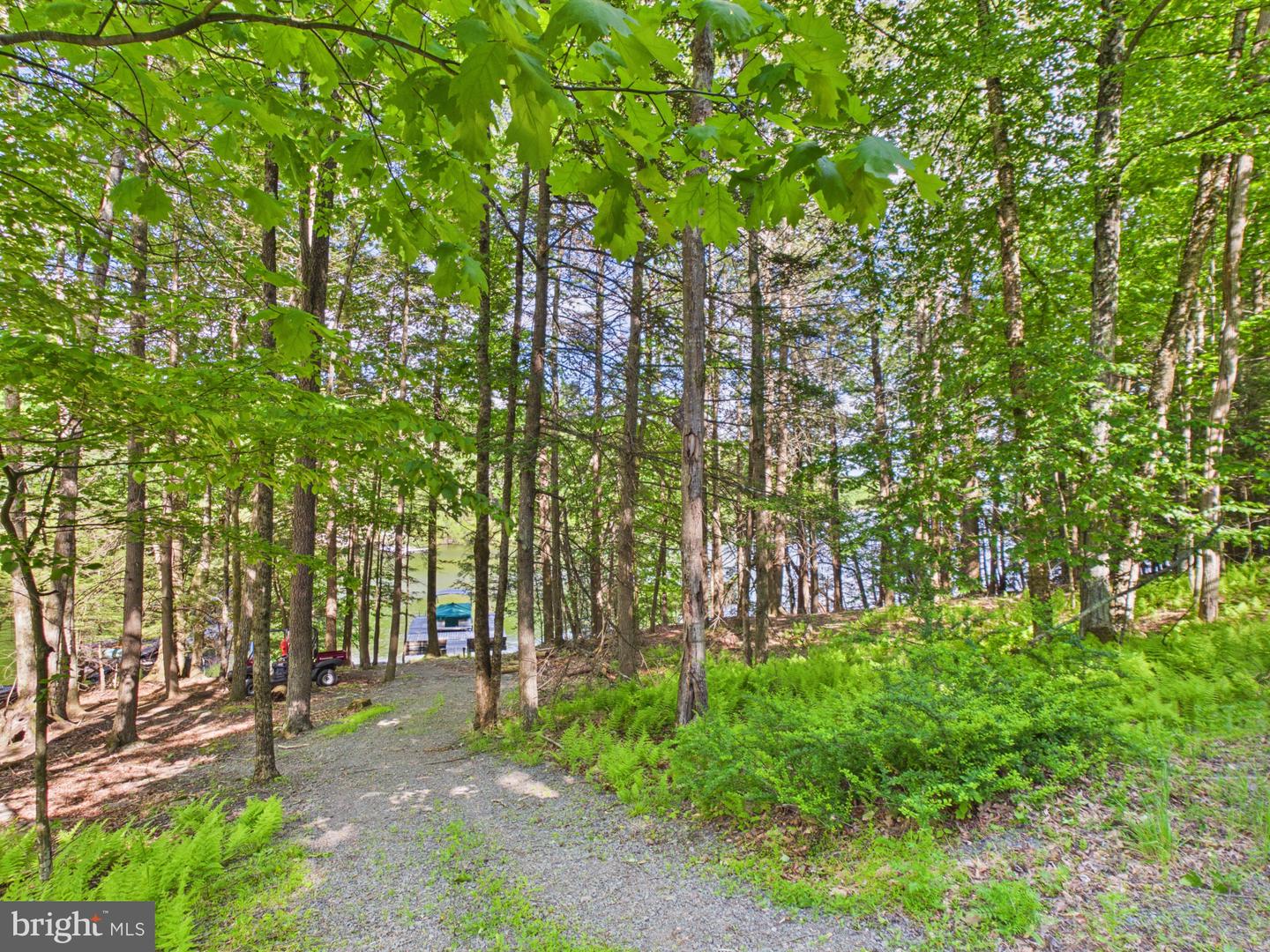 477 Finn Swamp Property Photo 42