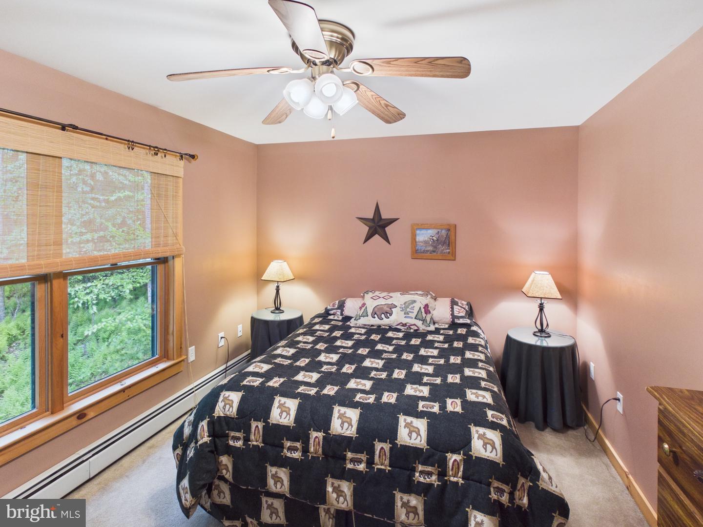 477 Finn Swamp Property Photo 44