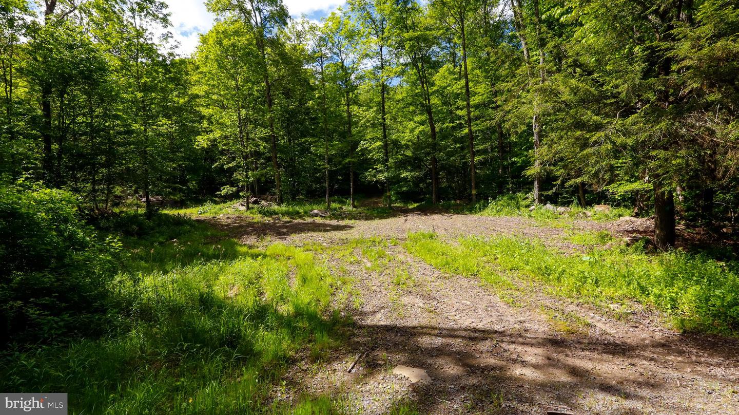 Crooked Creek Rd Property Photo 14