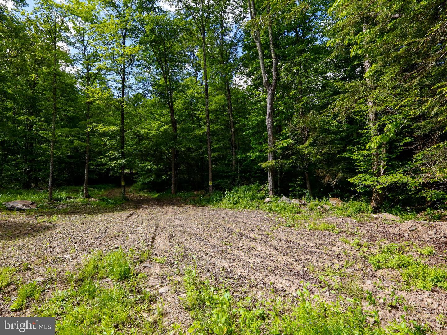 Crooked Creek Rd Property Photo 20