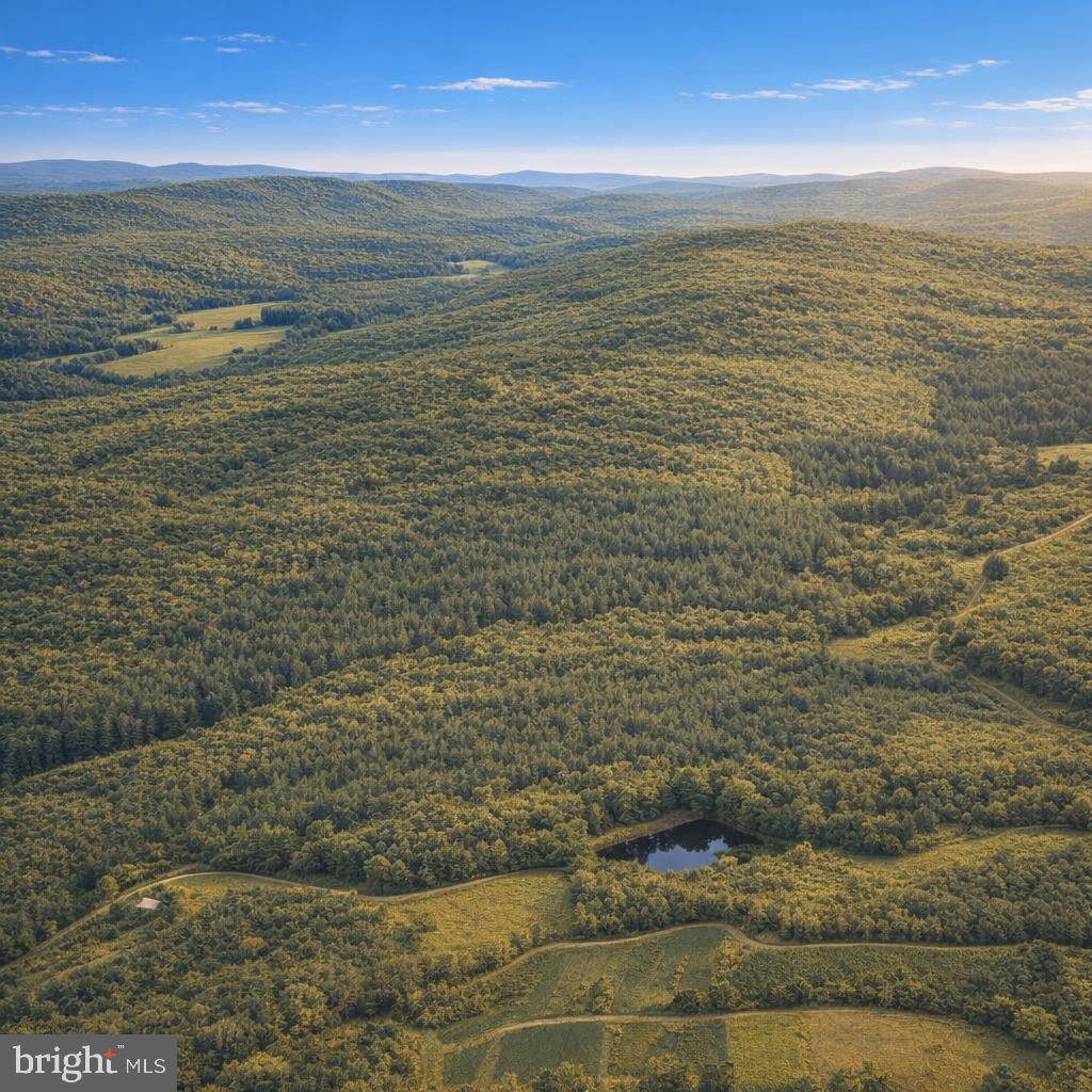 Crooked Creek Rd Property Photo 40