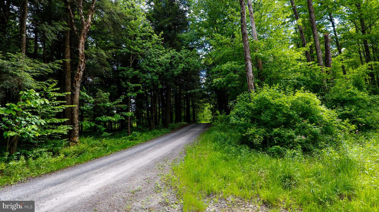 007 Crooked Creek Rd Property Photo 10