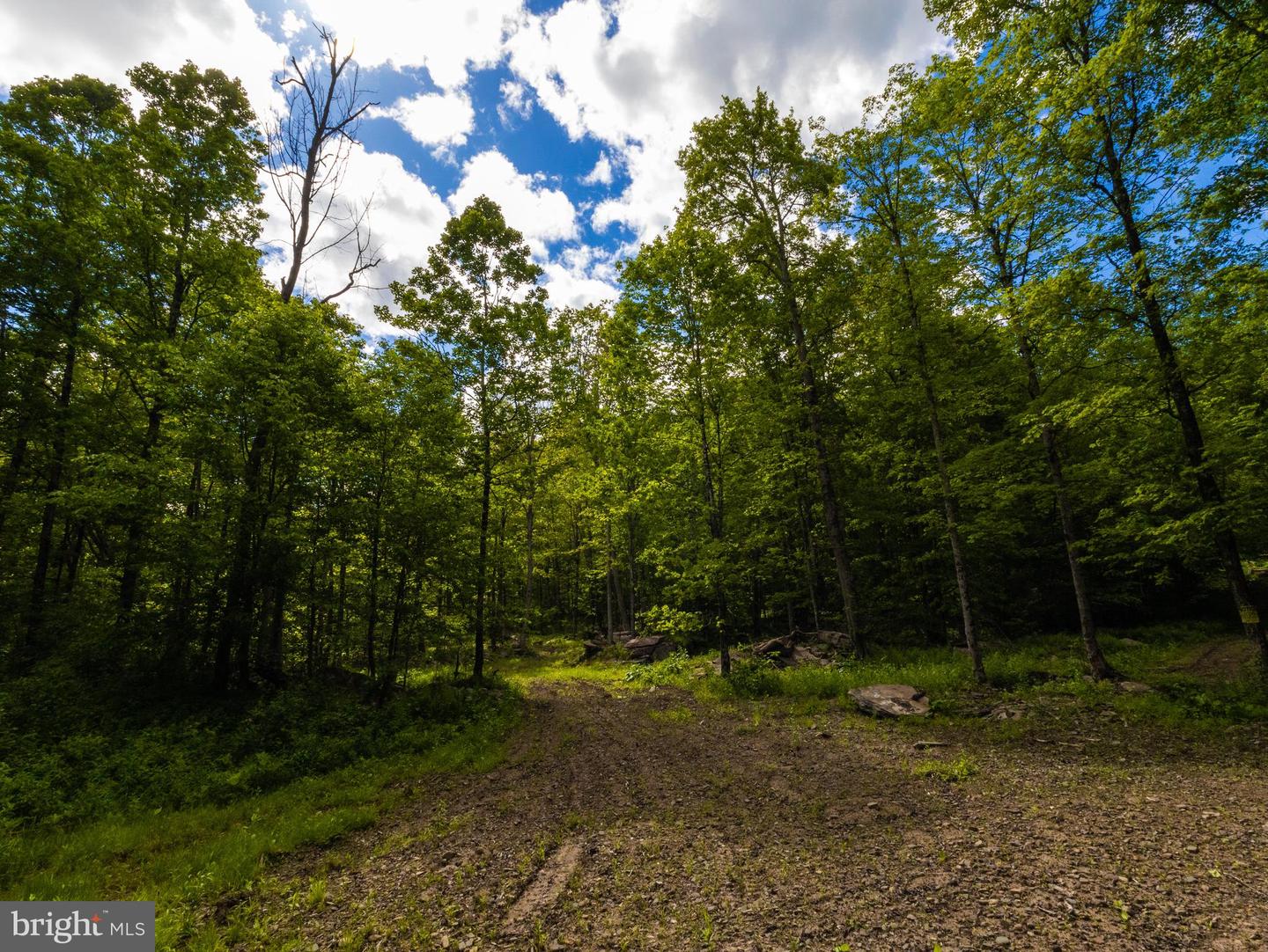 007 Crooked Creek Rd Property Photo 16