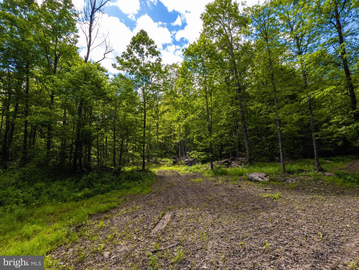 007 Crooked Creek Rd Property Photo 18