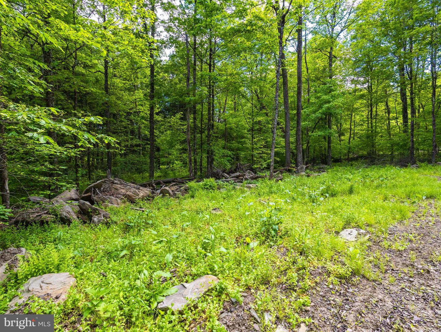 007 Crooked Creek Rd Property Photo 22