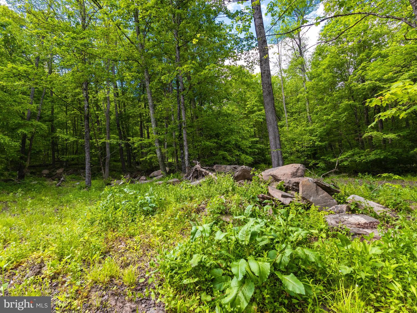 007 Crooked Creek Rd Property Photo 24