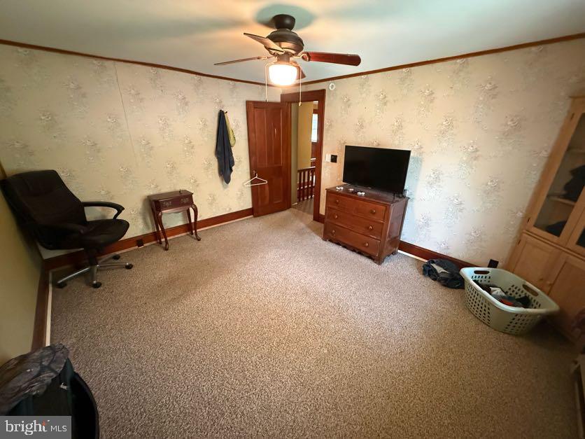 87 Milanville Rd Property Photo 46