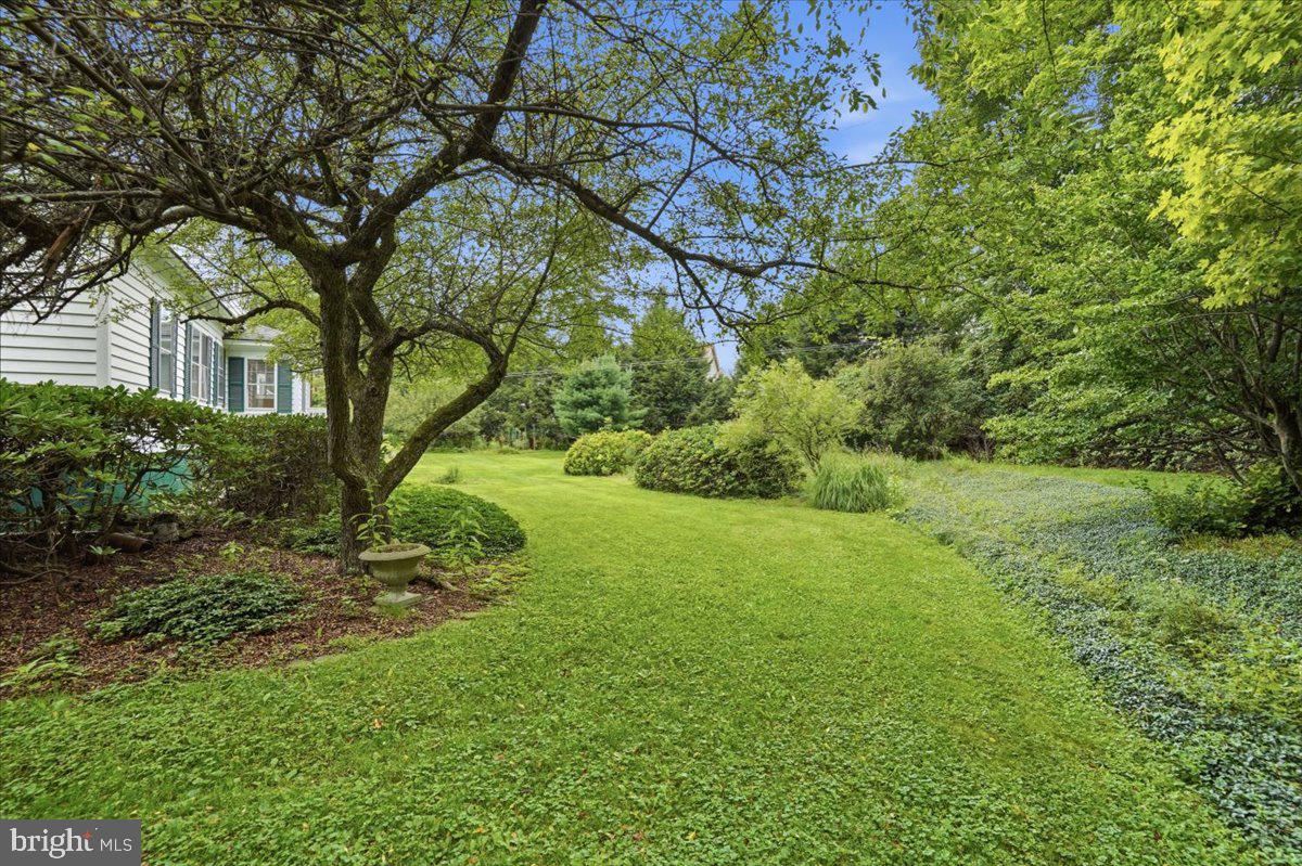 42 River Rd Property Photo 34
