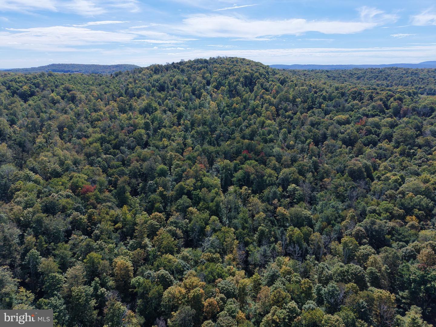 Fairmount Rd Property Photo 10