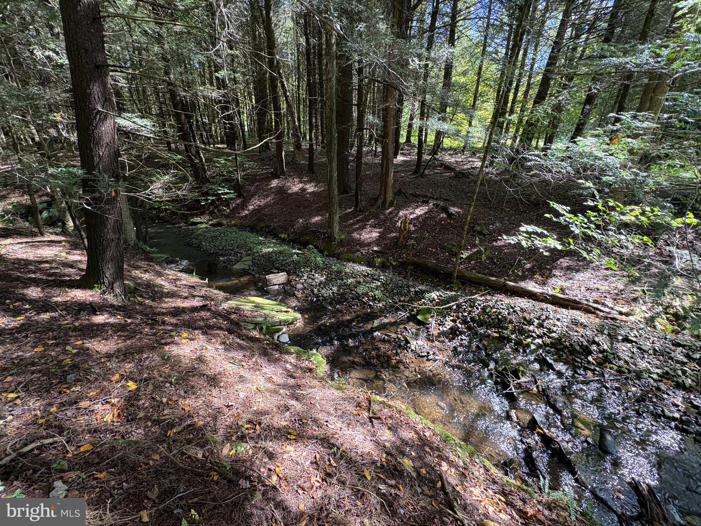 Fairmount Rd Property Photo 19